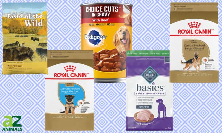 Best Dog Food For German Shepherds