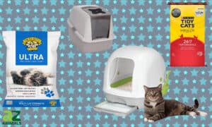 The Best Low-Dust Cat Litter Options: Top Picks and Reviews Picture