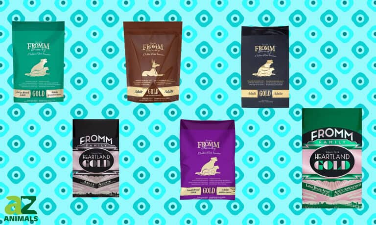 Best Fromm Adult Gold Dog Food