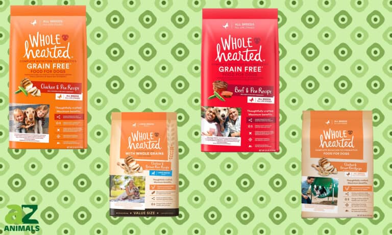 est Wholehearted Dog Food