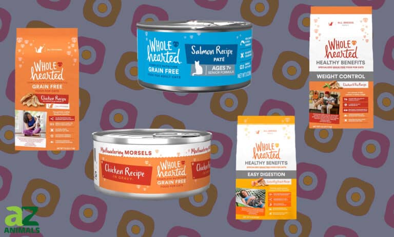 Best Wholehearted Cat Food