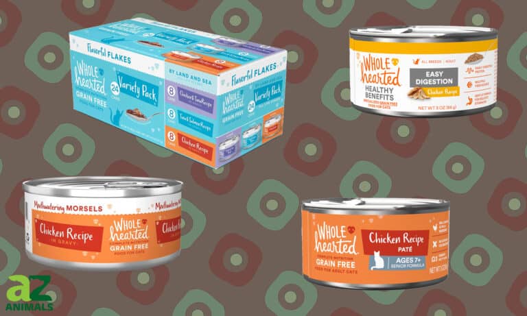 Best Wholehearted Wet Cat Food