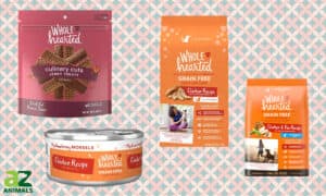 Wholehearted Pet Food Guide: Everything You Need to Know Picture