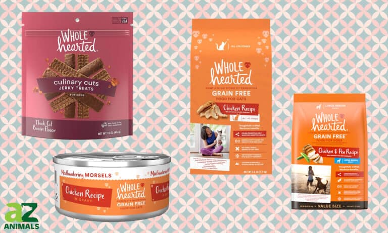 Wholehearted Pet Food Guide