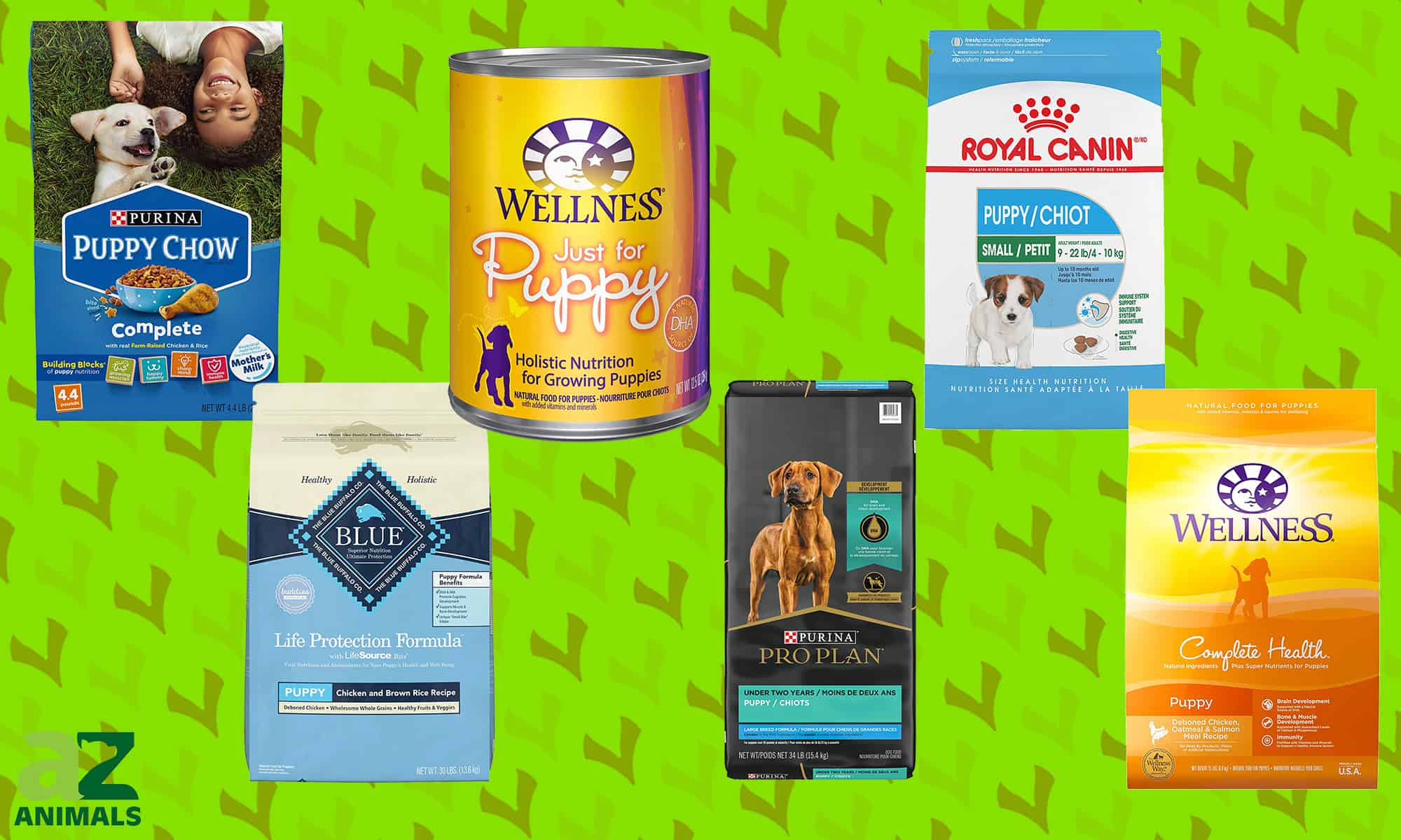 the-best-puppy-food-a-z-animals