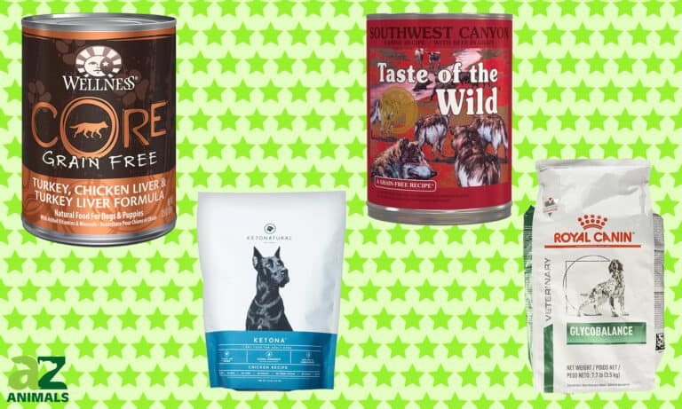 Best Dog Food for Diabetic Dogs
