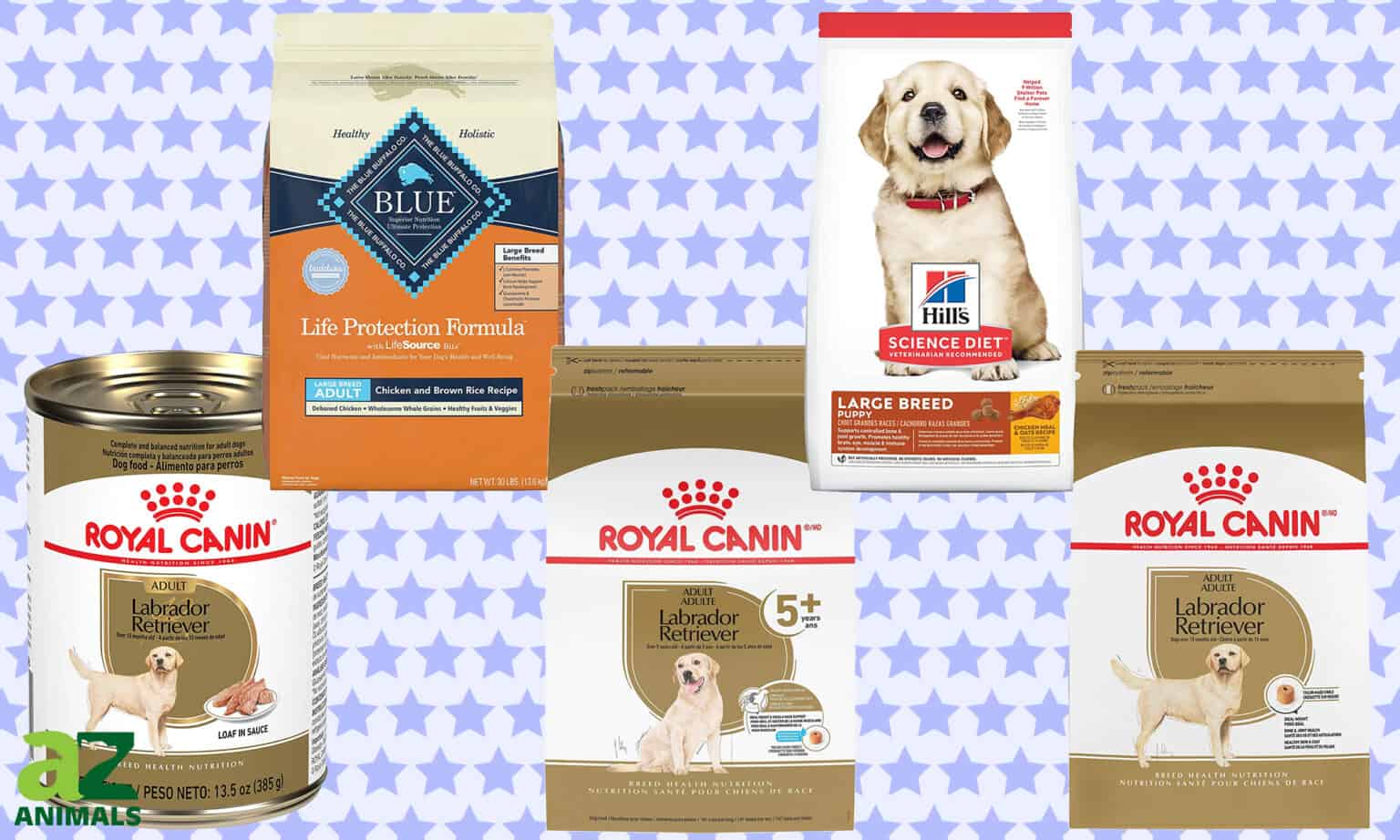 The Best Dog Food for Labrador Retrievers (Senior, Puppy, and Adult