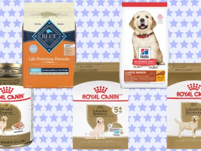 A The Best Dog Food for Labrador Retrievers for 2022 — (Senior, Puppy, and Adult)