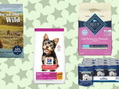 A The Best Dog Food for Small Dogs (Puppy, Adult, Senior) for 2022 – Reviewed and Ranked