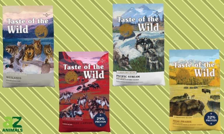 Best Taste of the Wild Grain-free Dog Foods