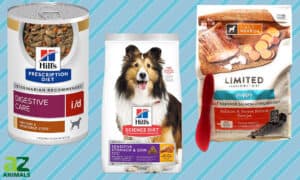 Best Dog Food for Dogs With Diarrhea (Senior, Adult, and Puppy) — Reviewed and Ranked Picture