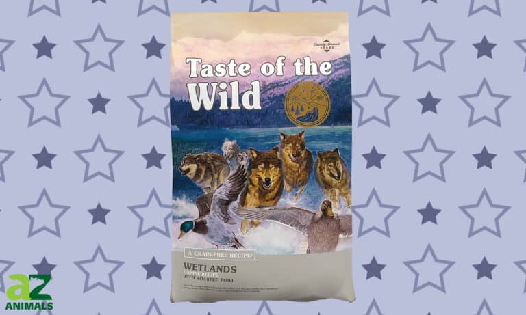 Taste of the Wild Wetlands Reviewed