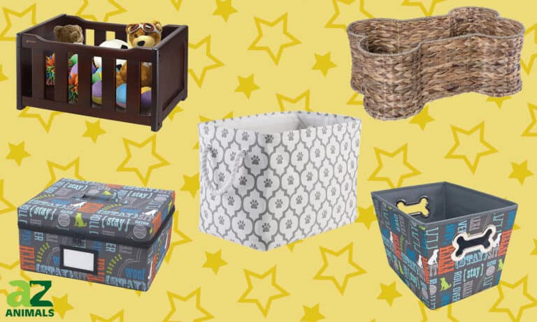 Best Dog Toy Box