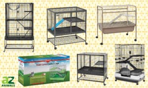 Best Sugar Glider Cages: Reviewed Picture