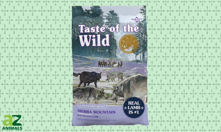review of Taste of the Wild Sierra Mountain