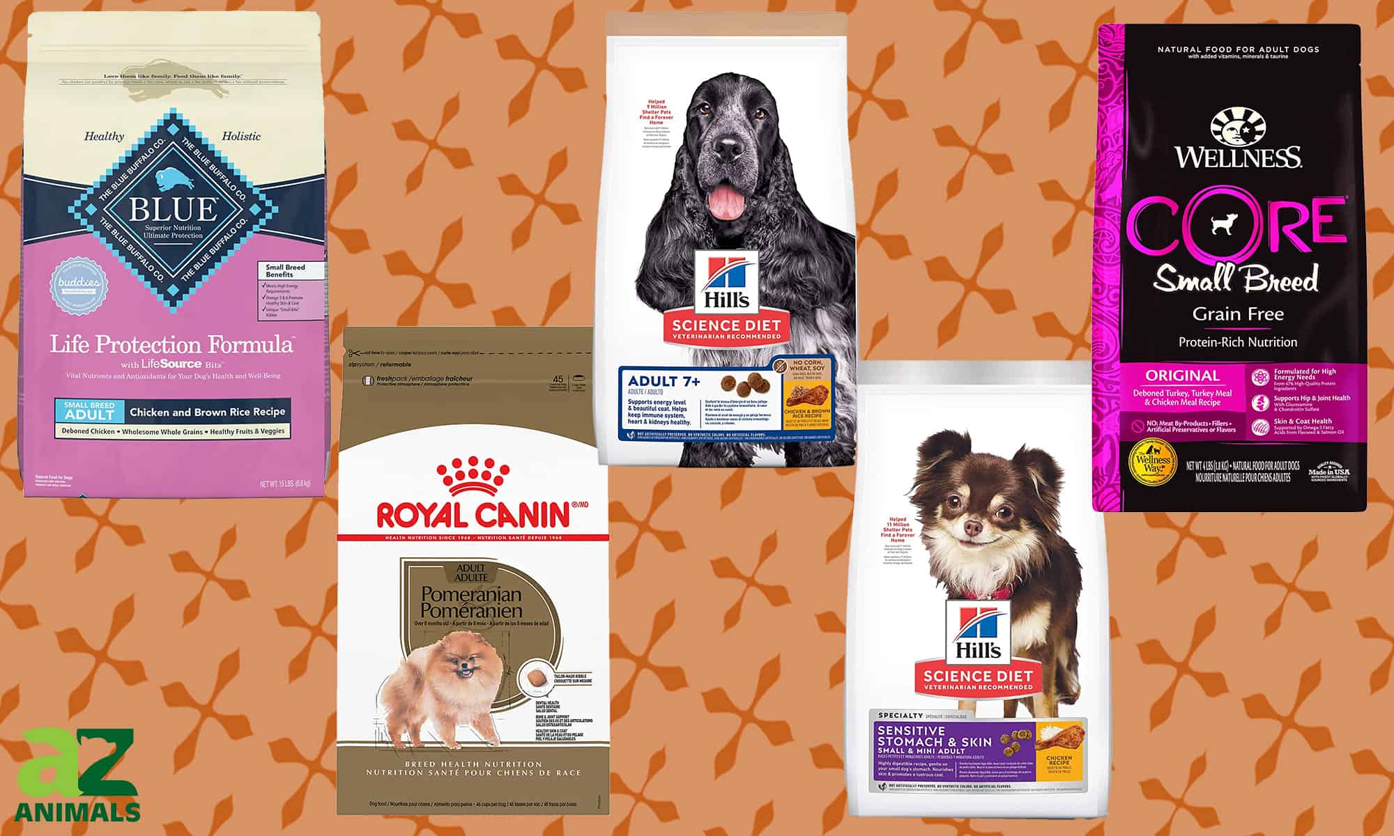 The Best Dog Food for Pomeranians AZ Animals