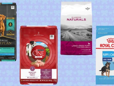 A We Found the Best Dog Food for Large Breed Puppies for 2022