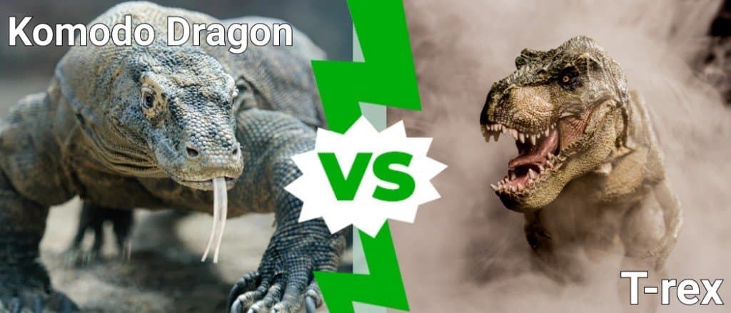 dragons vs t rex