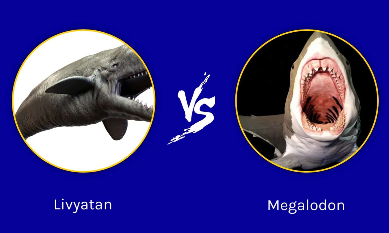 Livyatan Vs Megalodon: Who Would Win in a Fight of Two Ancient Sea ...