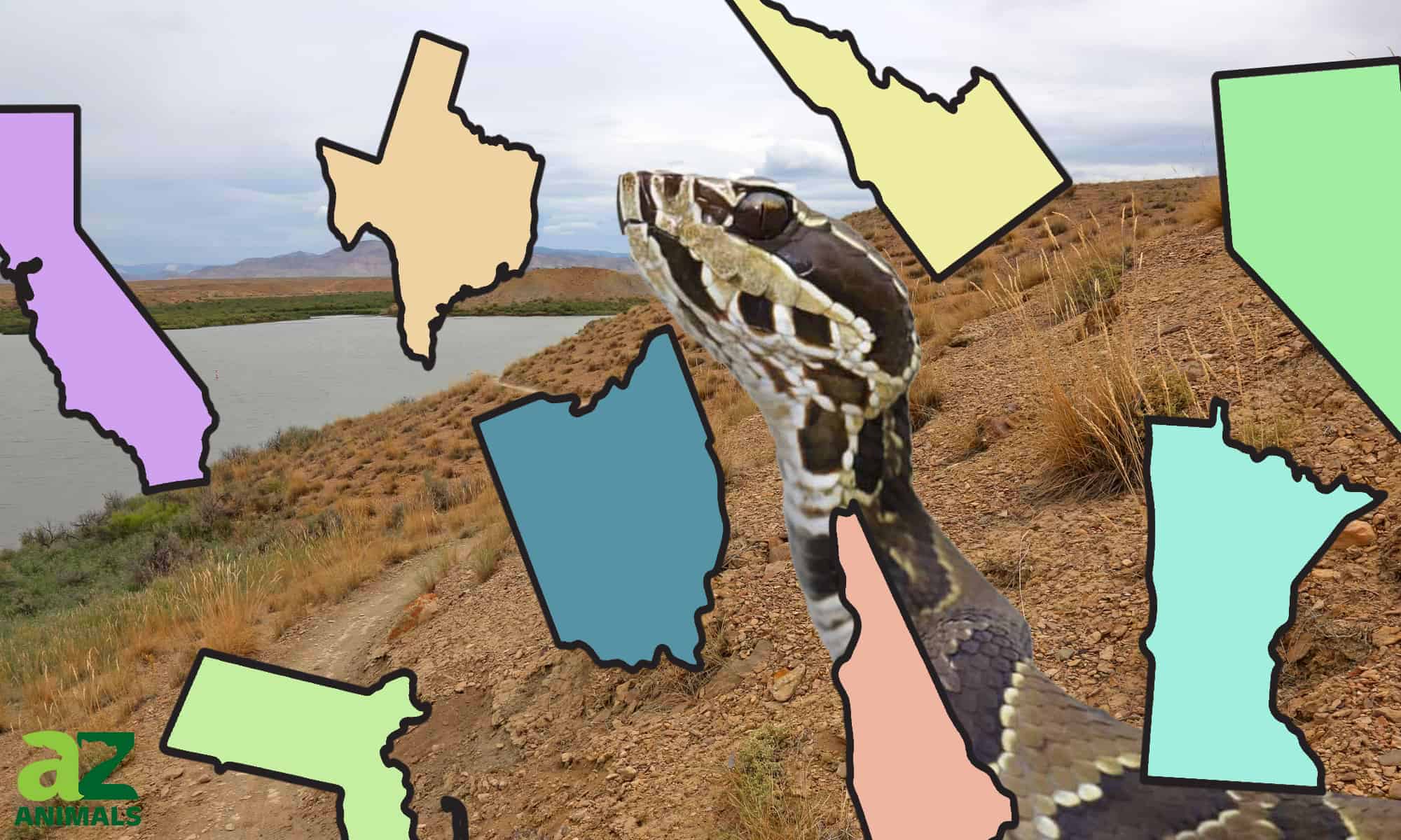 Cottonmouth population by state