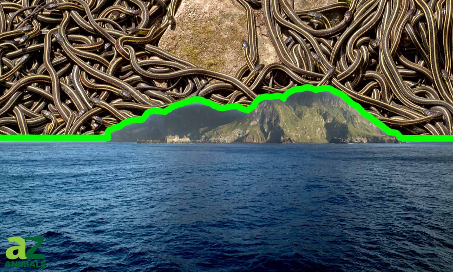 Snake Island: The True Story of the Most Snake-Infested Island on Earth ...