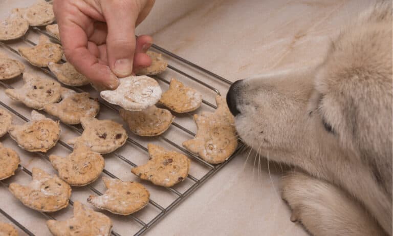 Blue Buffalo Dog Treats