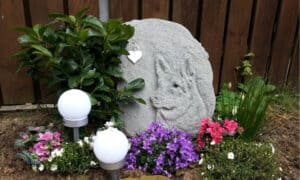 The Best Dog Tombstones: Reviewed and Ranked Picture