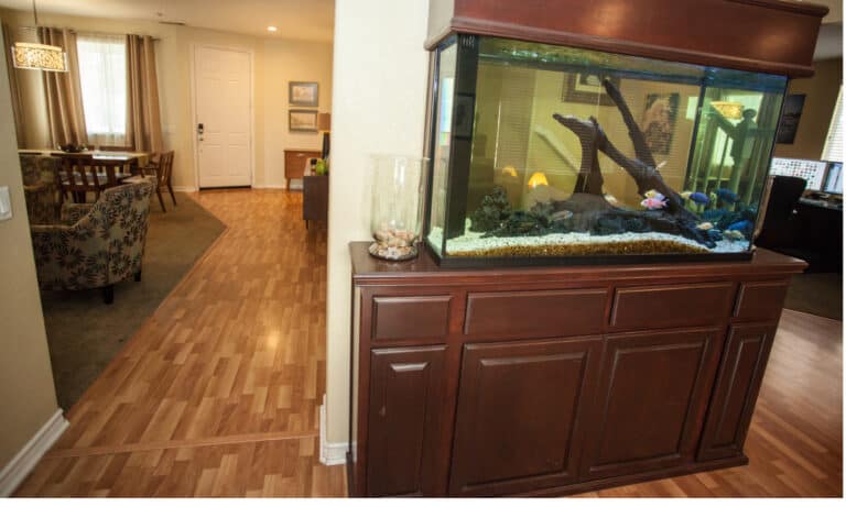aquarium cabinets