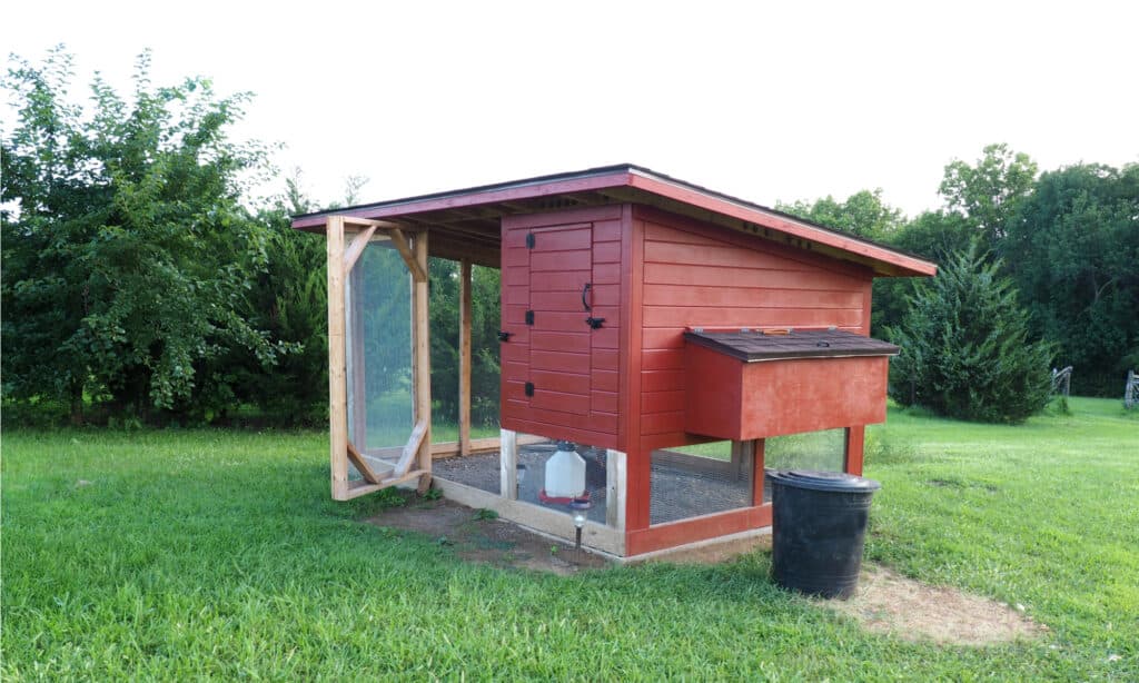 chicken coop