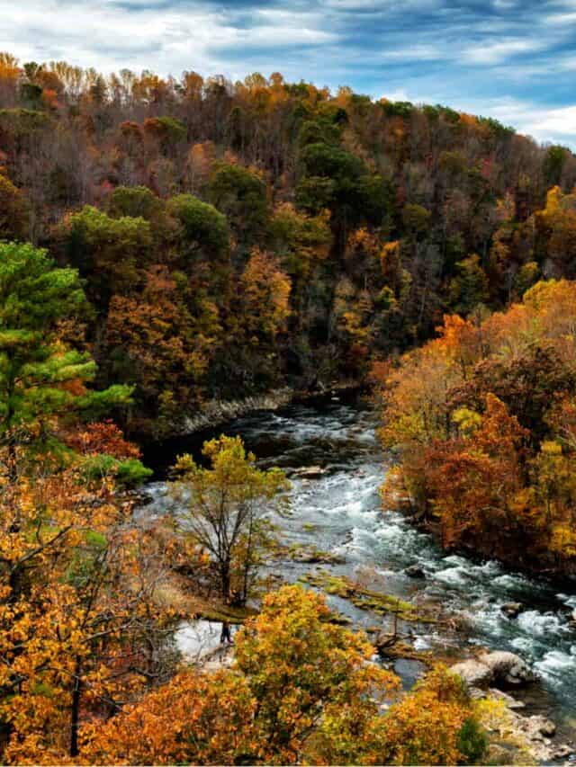 Longest River in North Carolina - The Roanoke River