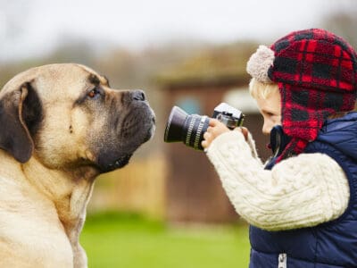 Лучшая камера для собак на 2022 год — обзор и рейтинг
