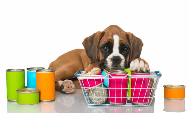 fromm canned dog food