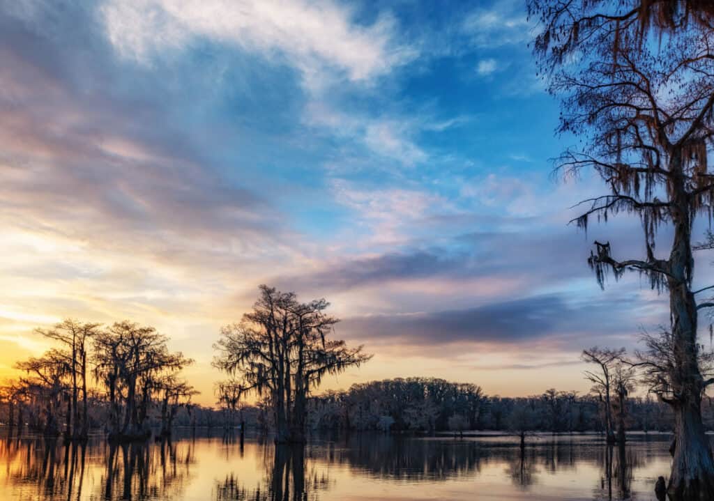 Caddo Lake