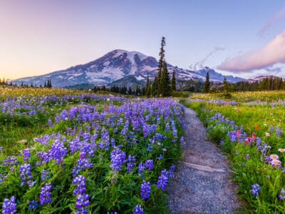 A Discover the Highest Point in Washington