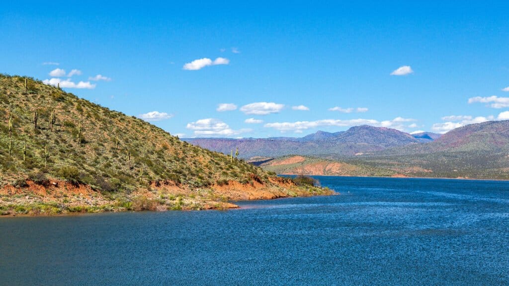 Largest Forest in Arizona