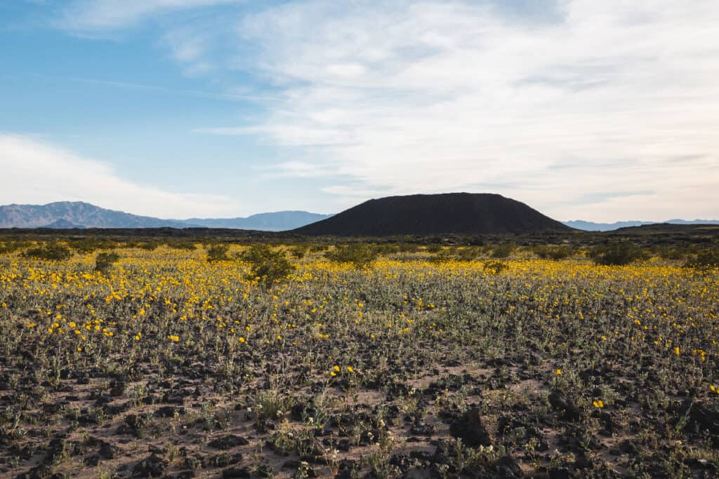 Mojave Desert California