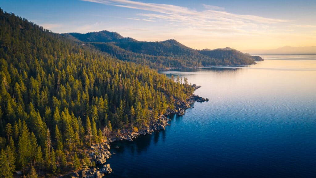 Lake Tahoe’s water clarity has decreased in recent years. However, there are a variety of mammals, snakes, and fish to look out for when vacationing there.