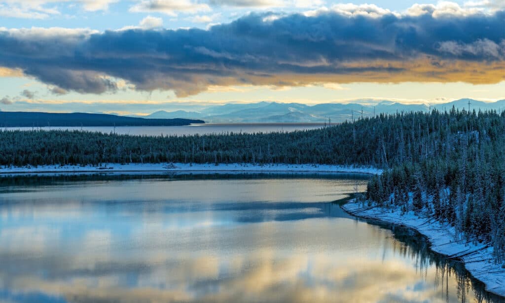 Yellowstone in May