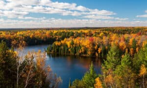 Discover When Leaves Change Color in Upstate New York (Plus 5 Areas with Beautiful Foliage) Picture