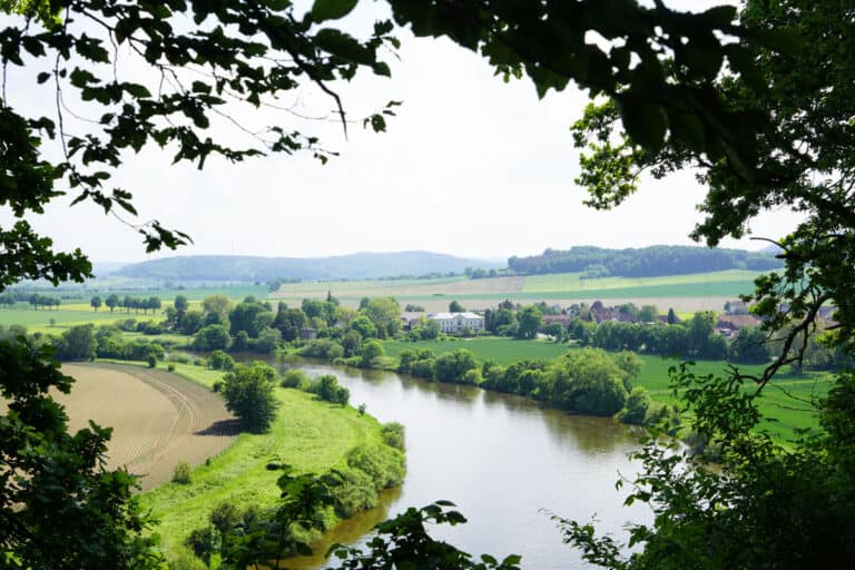 The 12 Longest Rivers In Germany A Z Animals   IStock 1346154332 768x512 