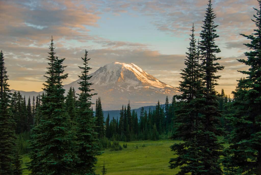 A view of Mount Adams from Goat Rocks.