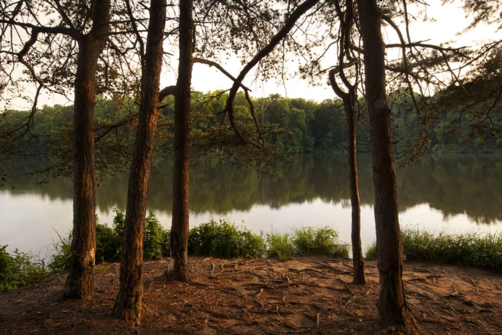 Lake Norman in the Piedmont of North Carolina