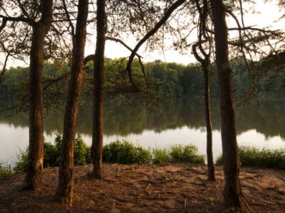 A 7 Best Lakes in (and Near) Charlotte North Carolina
