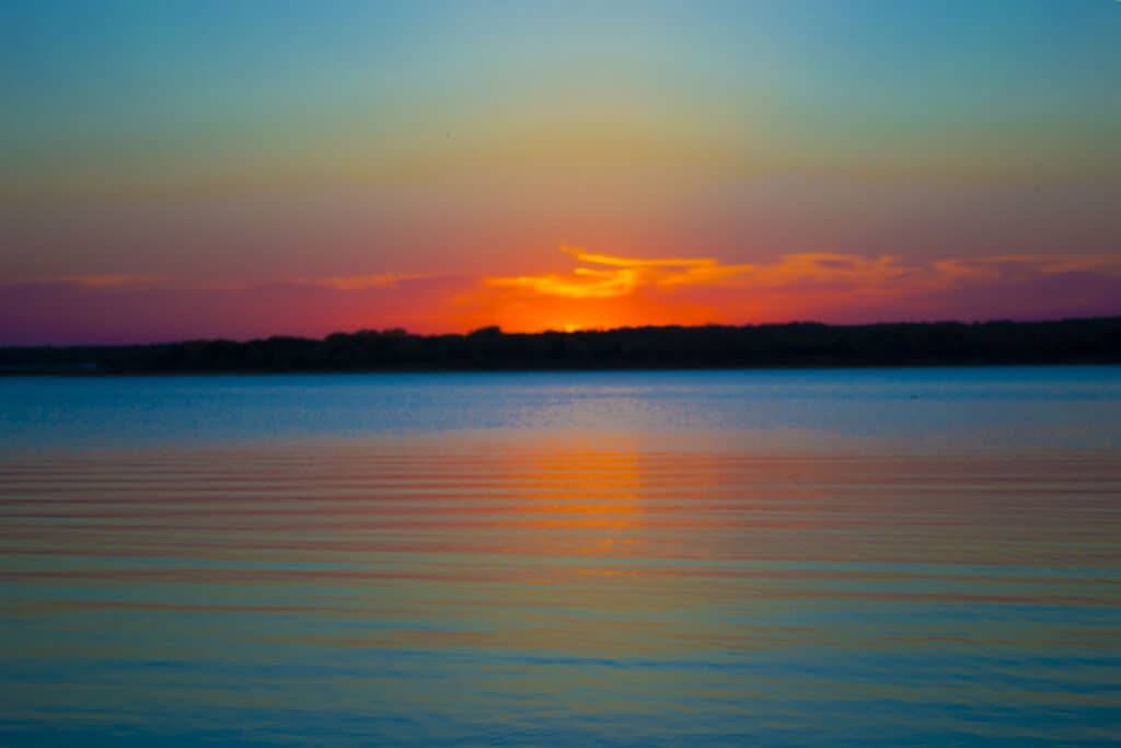 Learning to identify cottonmouths, copperheads, and rattlesnakes will help you to determine if you do see a snake, if it is venomous or not, and whether it is safe to swim in Lake Texoma.