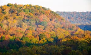 Mammoth Cave National Park fall foliage