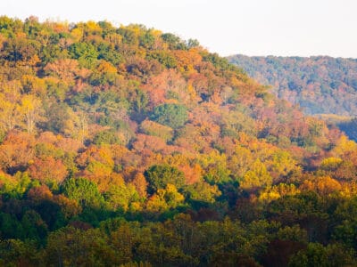A Discover 5 Incredible Places to See Fall Foliage in Kentucky