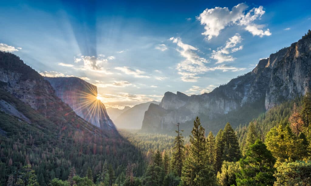 Yosemite National Park is one of the most well-known parks in the world. 