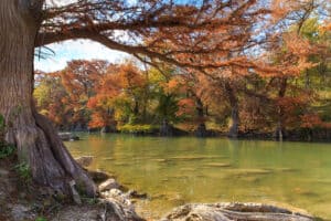 Discover 10 Amazing Facts About the Guadalupe River Picture