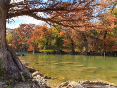 A Discover 10 Amazing Facts About the Guadalupe River
