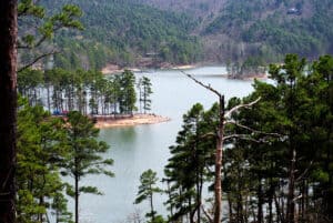 The Most Snake-Infested Lakes in Arkansas Picture